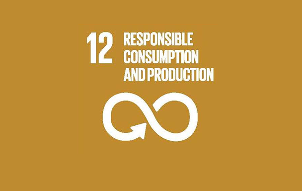 Responsible consumption and production